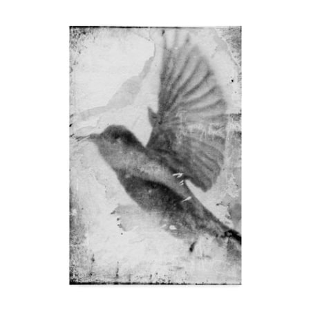 Ingrid Blixt 'B&W Flight Ii' Canvas Art,16x24